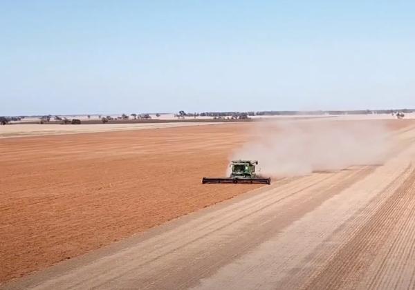 Tonrado Harvester testimonial
